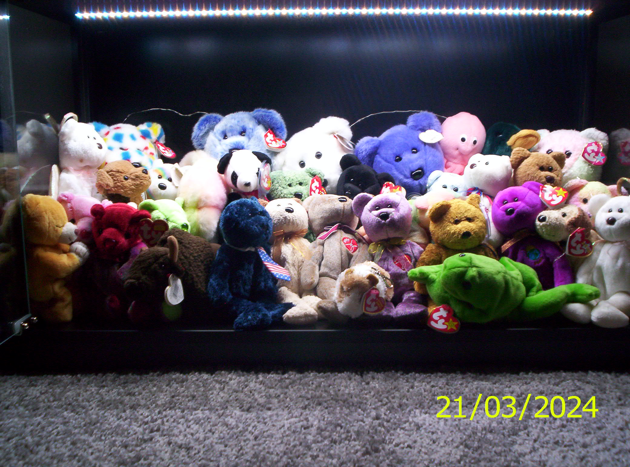 A display case shelf full of the Ty toys listed below.