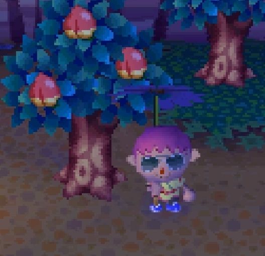 screenshot of Animal Crossing Wild World